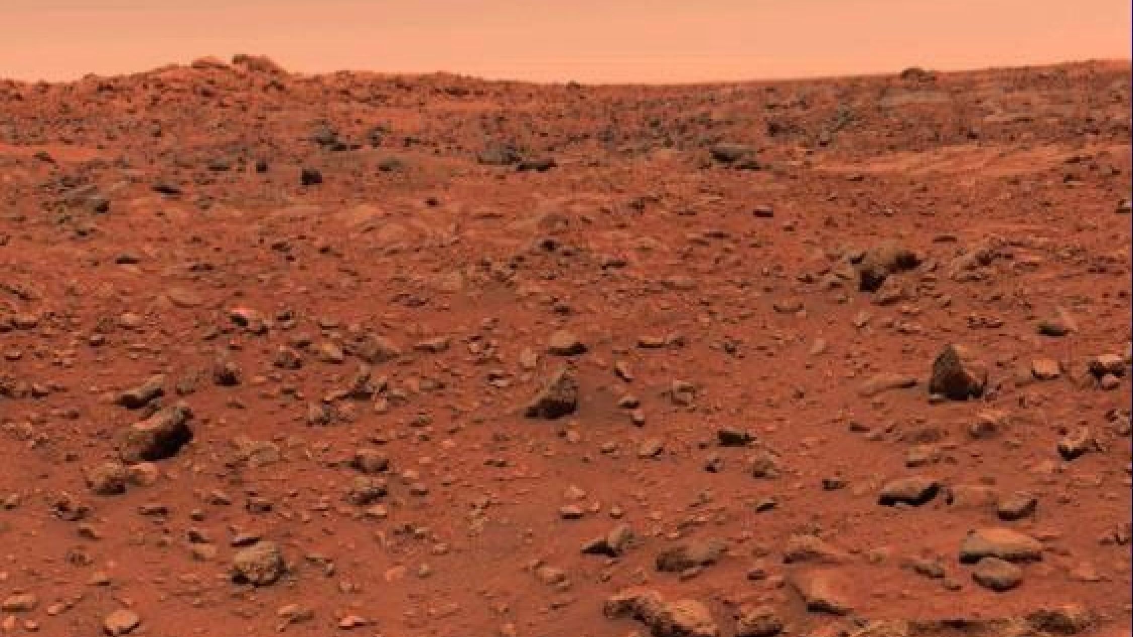 Viking 1 lander soil experiments still debated 50 years later
